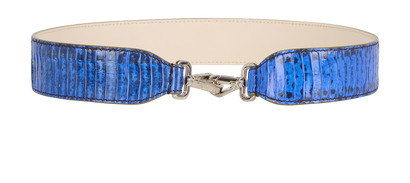 Fendi Bag Strap, front view